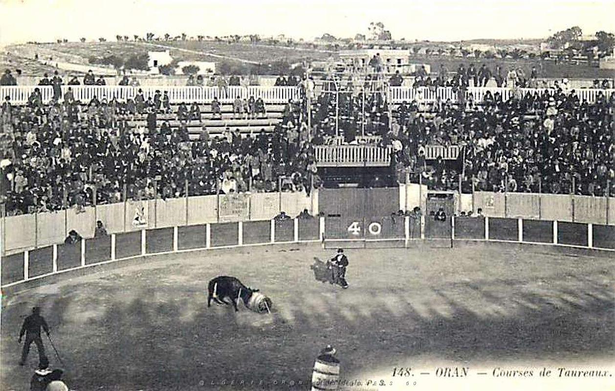 Oran- SDV- 5115.jpg